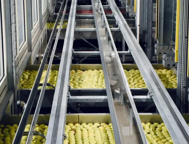 Производственные линии